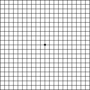 amsler grid eye test for macular degeneration